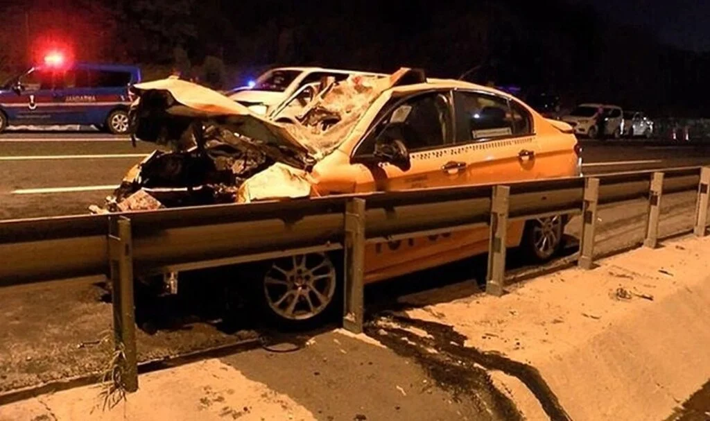 Başıboş mandalar kazaya neden oldu: 1 ölü, 2 yaralı