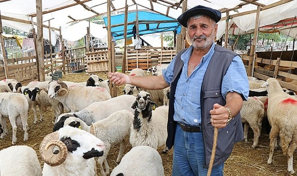 Besicilerin bayram mesaisi: “32 büyükbaşla gelmiştim 5’i kaldı”