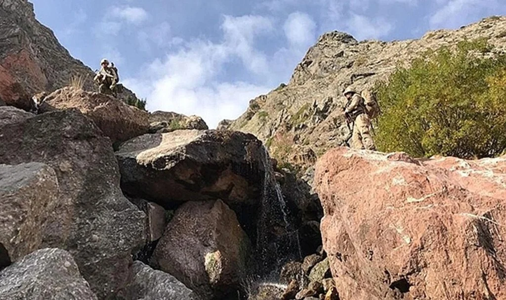 Bitlis'te gri listedeki terörist etkisiz hale getirildi