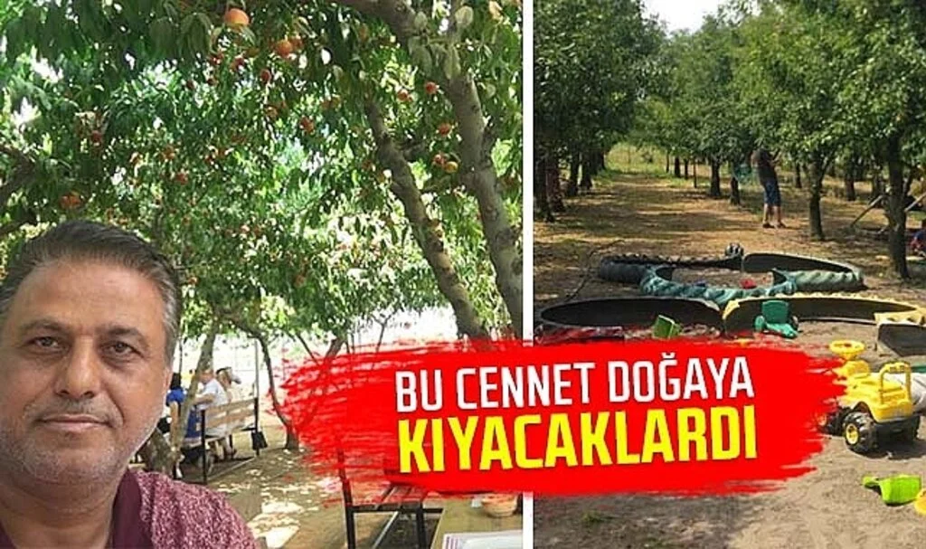 Bu cennet doğaya kıyacaklardı