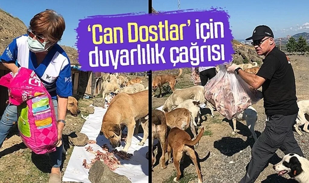 'Can Dostlar' için duyarlılık çağrısı