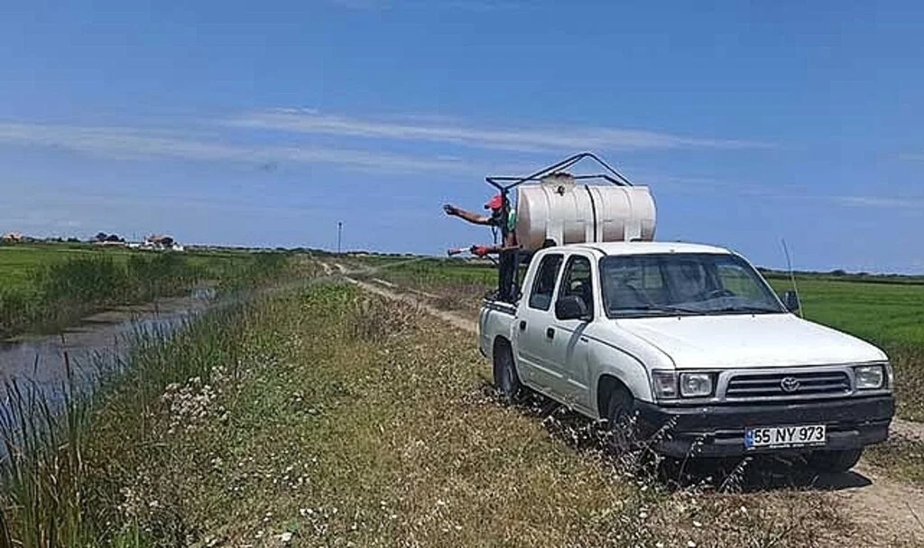 Çeltik alanlarında larva ile mücadele