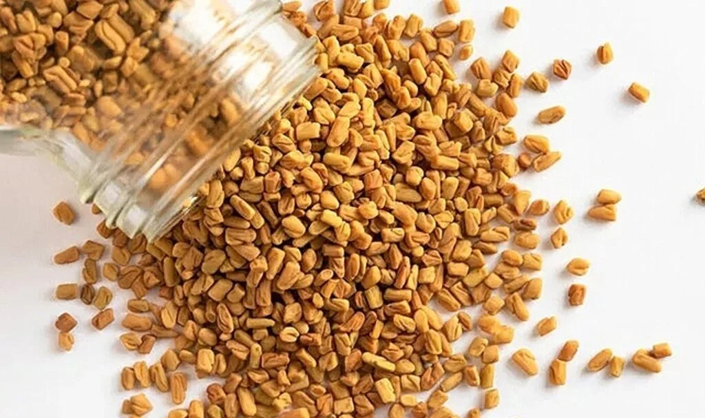 Doğadaki en etkili ağrı kesici: Çemen otu nedir?
