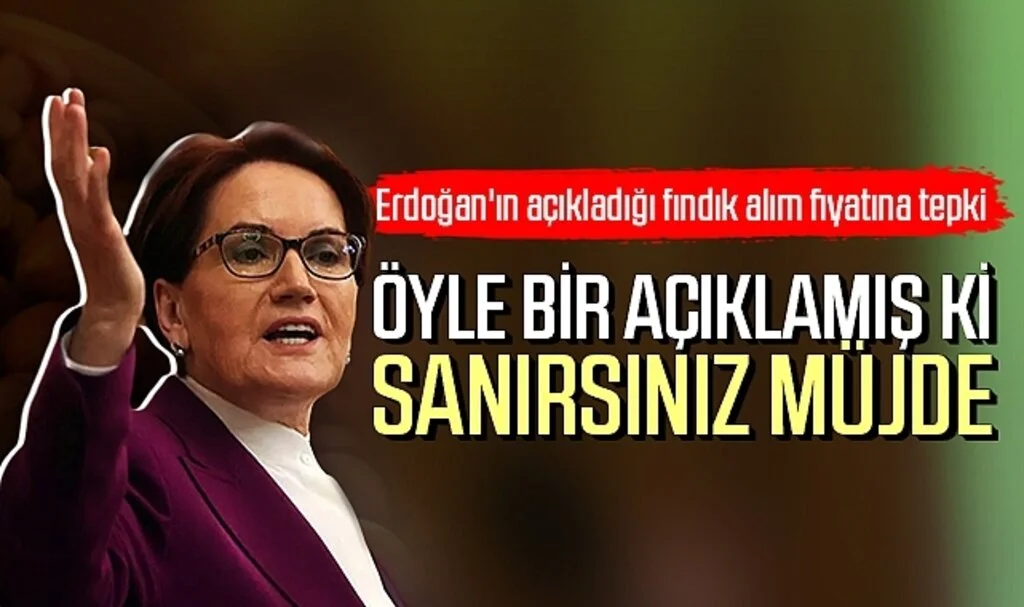 Erdoğan'ın açıkladığı fındık alım fiyatına Meral Akşener'den tepki geldi: Sanırsınız müjde