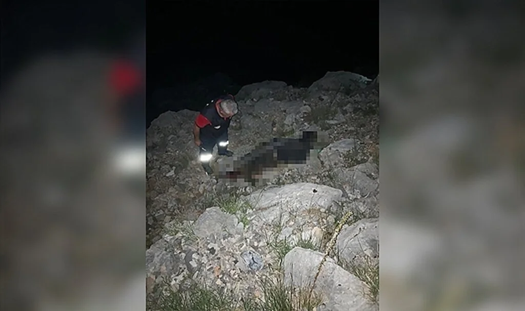 Kayıp çoban ölü bulundu