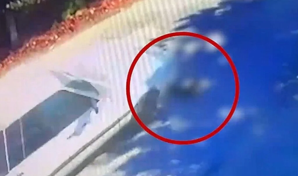 Korkunç an kamerada! Otomobilin çiğnediği köpek hayatını kaybetti