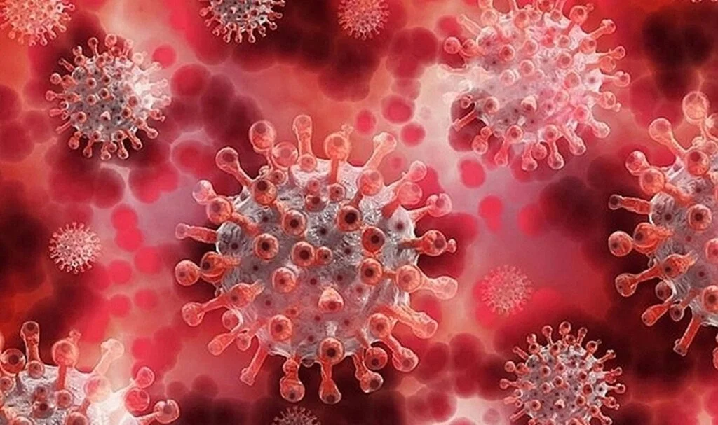 'Maymun çiçeği' vakaları artıyor! İlk sırada o ülke var