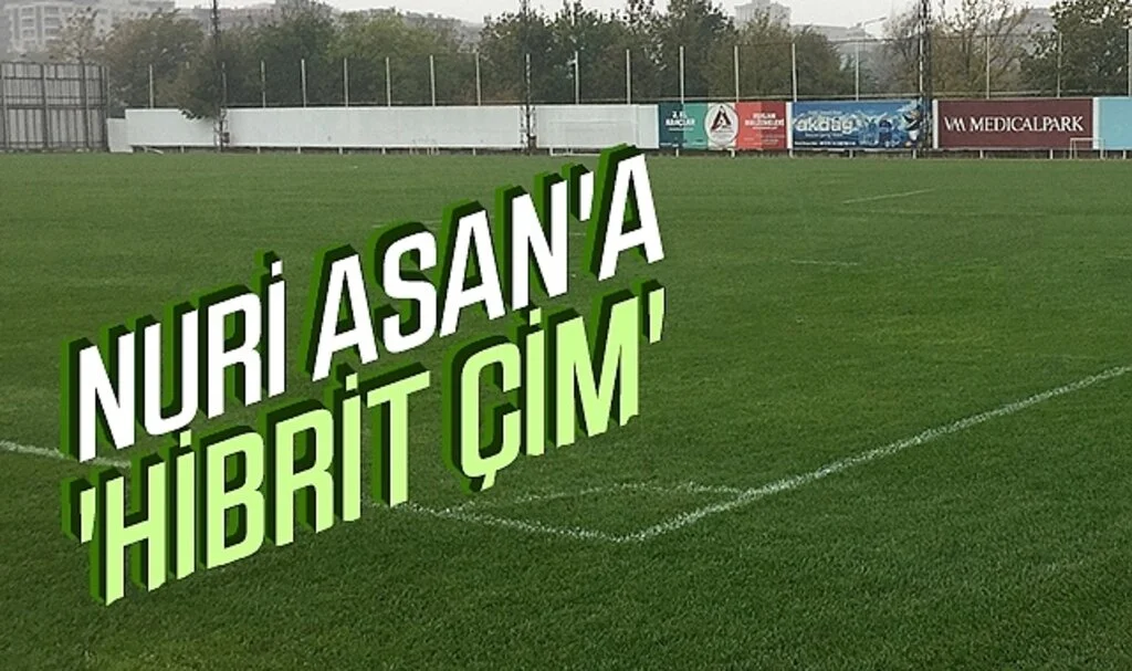 Nuri Asan'a 'hibrit çim'