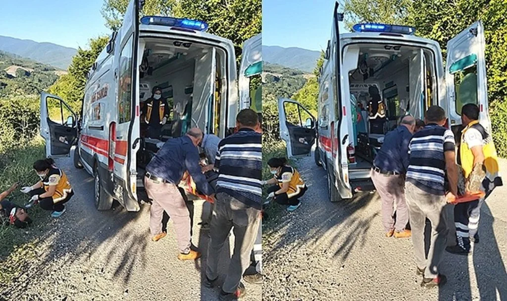 Otomobil fındık bahçesine uçtu: 2 yaralı