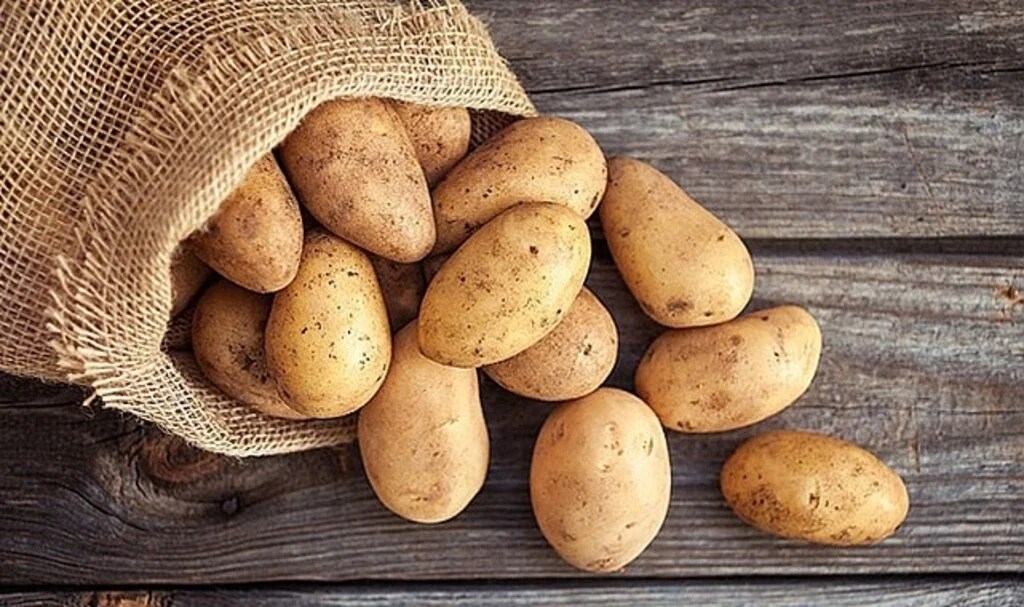 Patates üretiminde yüzde 20 artış!