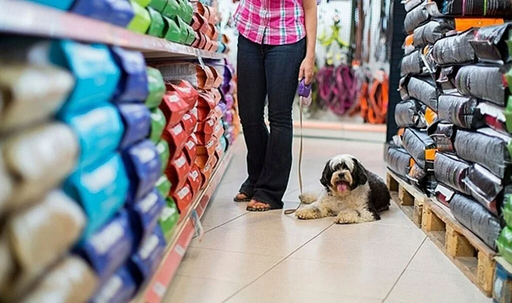 Petshoplar Kasaplar Odası'na bağlandı