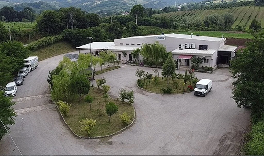 Samsun’un tek ruhsatlı mezbahası Kurban Bayramı’na hazır