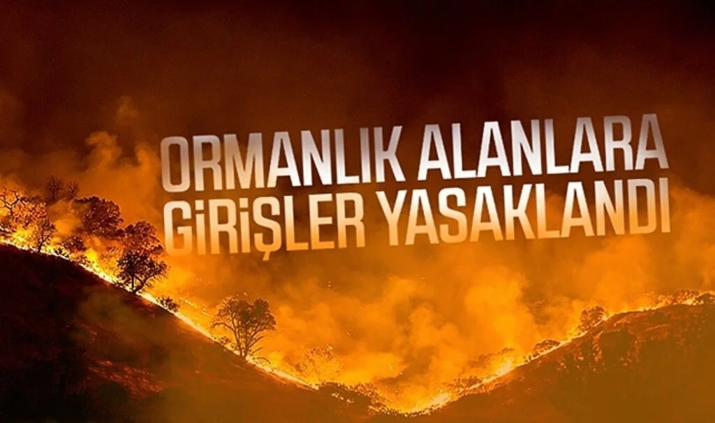 Son dakika: Ormanlık alanlara girişler yasaklandı!
