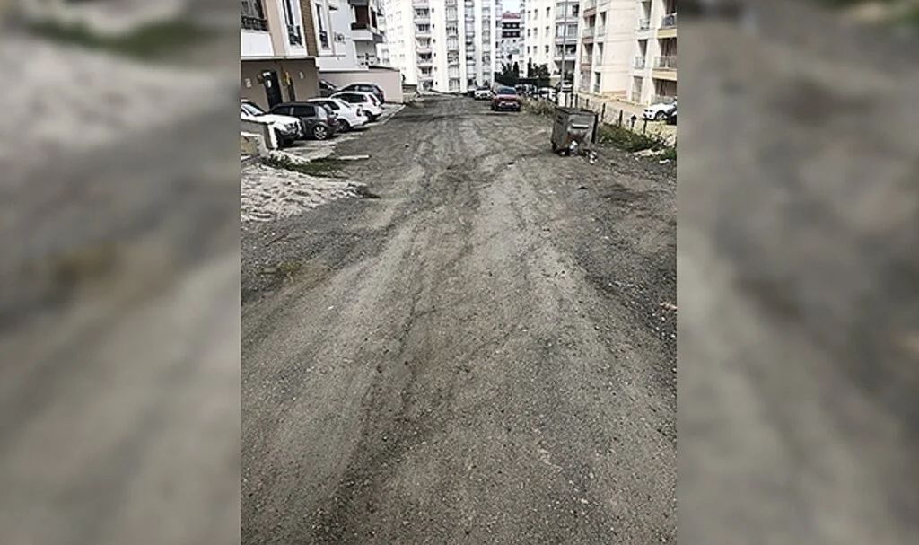 Vatandaştan yol talebi 