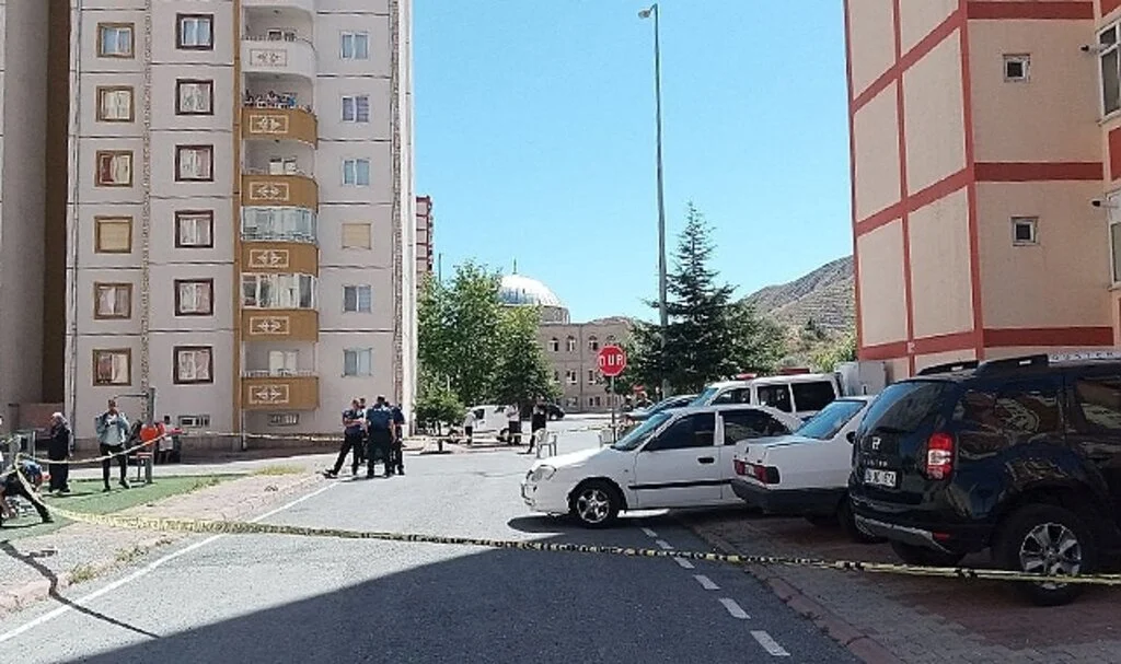 Yaşlı kadının feci sonu!