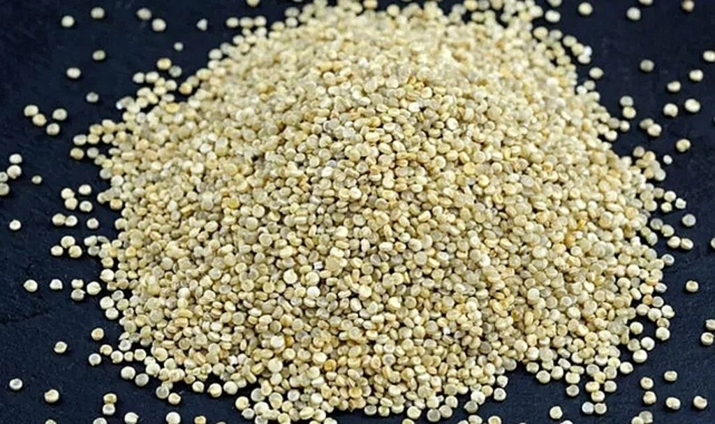 Yıpranan kasları onarıyor, metabolizmayı hızlandırıyor! İşte egzersiz sonrası tüketilmesi gereken 7 besin