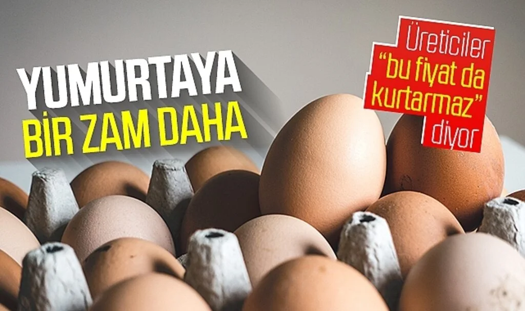 Yumurtaya bir zam daha! Üreticiler bu fiyat da kurtarmaz diyor
