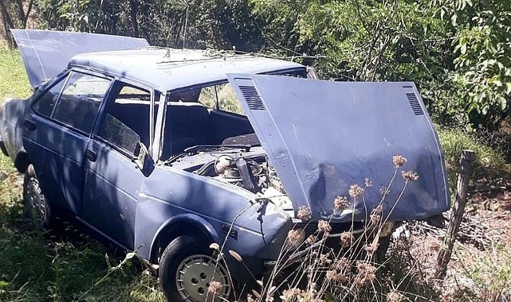 Ağaçlık alana uçan otomobilin sürücüsü yaralandı