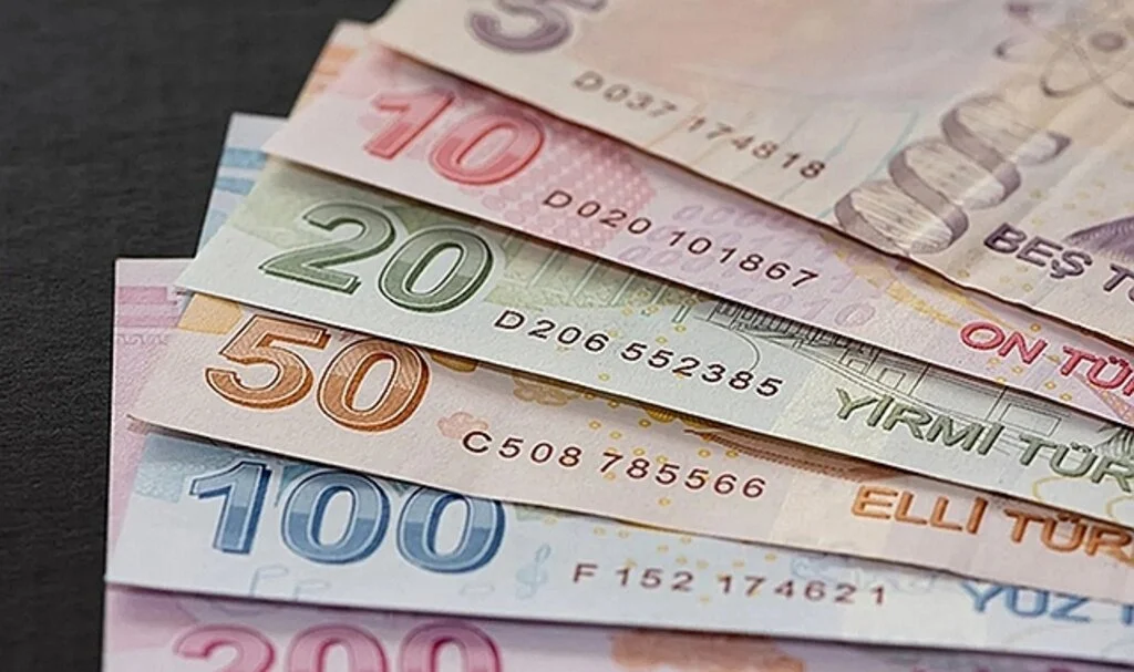 Aile Destek Programı''nda ödemeler başladı! Başvuru nasıl yapılır? En az 450 lira anında hesabınızda!
