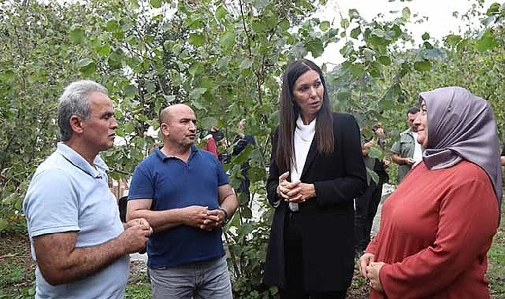 AK Parti Genel Başkan Yardımcısı ve Samsun Milletvekili Çiğdem Karaaslan: 'Fındık alım fiyatı yüz güldürdü'