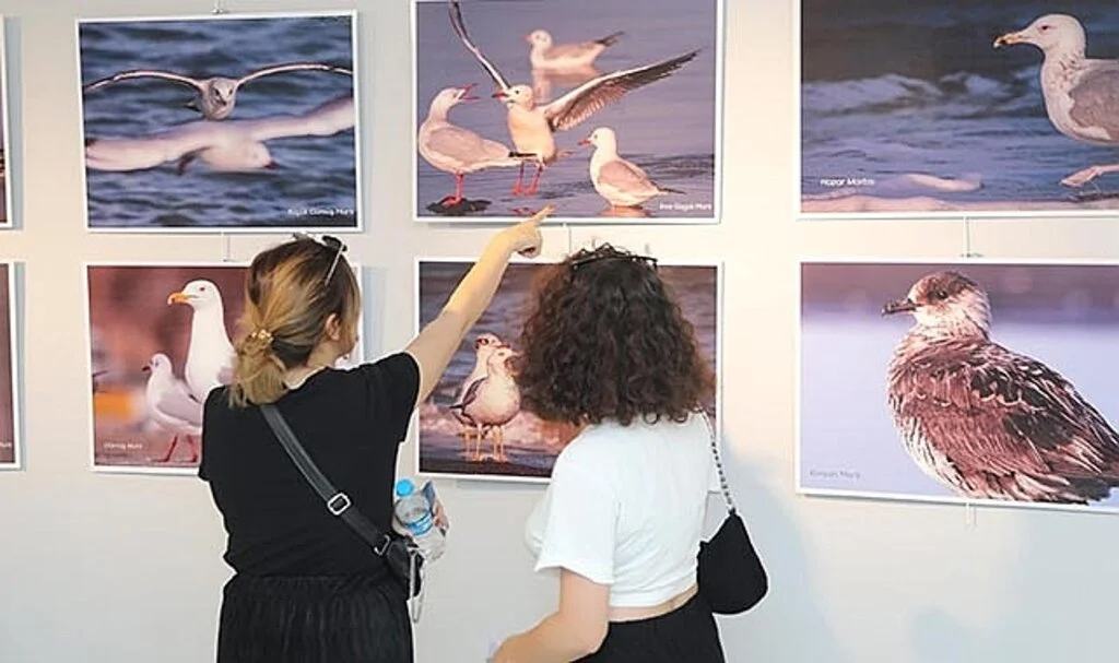 Atakum Belediyesi’nden nesli tükenen kuşlar için fotoğraf sergisi