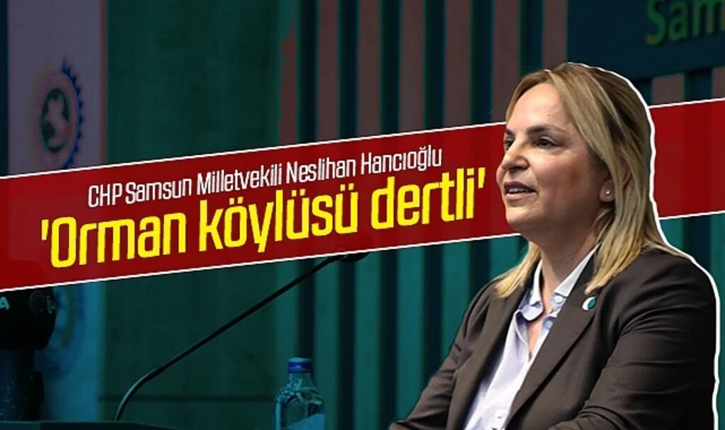CHP Milletvekili Neslihan Hancıoğlu: 'Orman köylüsü dertli'