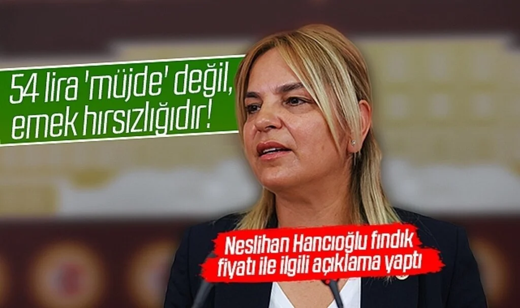 CHP Samsun Milletvekili Neslihan Hancıoğlu: 54 lira 'müjde' değil, emek hırsızlığıdır!