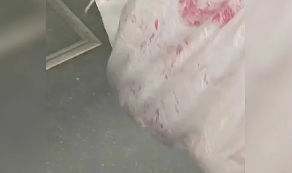 Çuval içine koyup otobüse bindi! Ölüm yolculuğu isyan ettirdi: İçini açınca şoka girdim