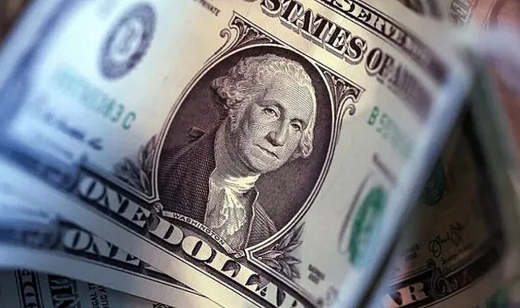 Dolar/TL’de gözler çarşamba gününe çevrildi: Enflasyonun yüzde 80'in üzerine çıkması bekleniyor...