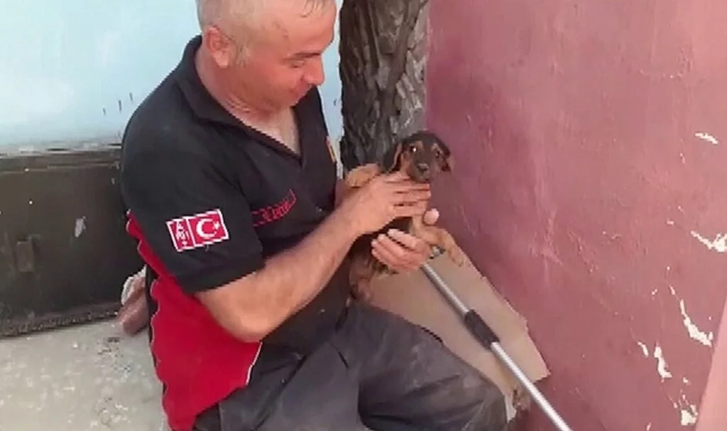 Duvar kırıldı, evlerin arasına sıkışan köpek 3 saatlik çalışma ile kurtarıldı