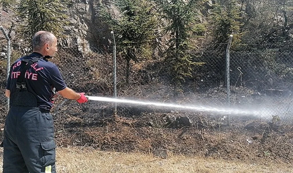 Elektrik akımına kapılan güvercin ağaçlık alanda yangın çıkardı