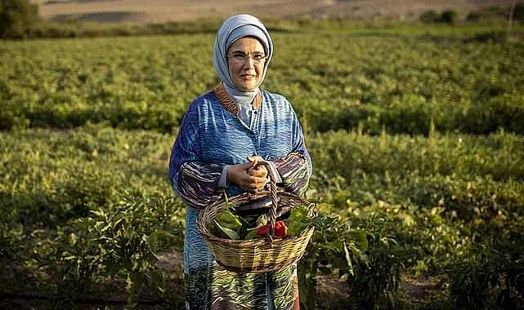 Emine Erdoğan, tarlada kadın çiftçilerle domates topladı