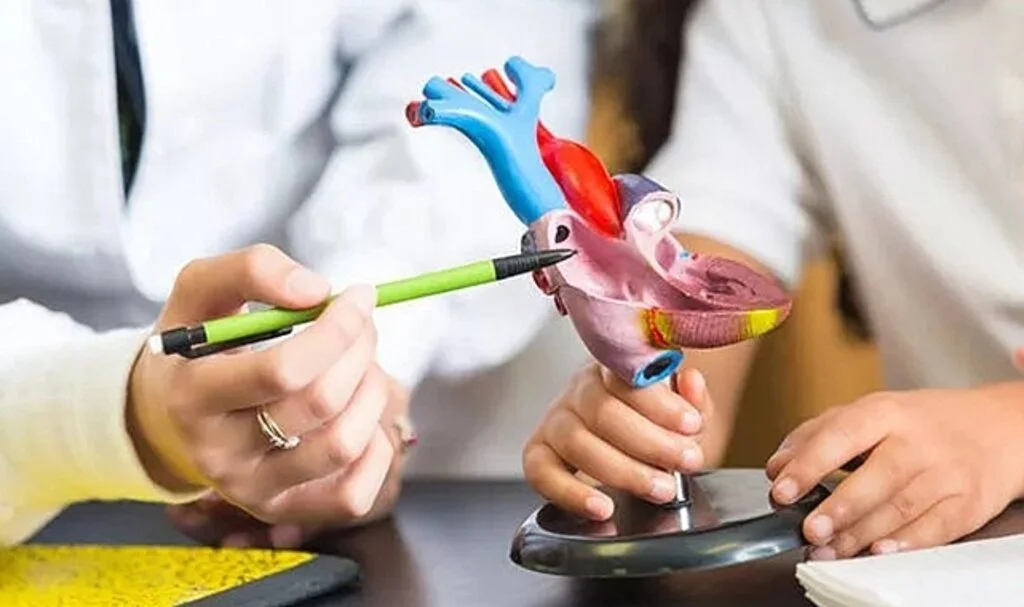 Gizli kalp hastalığı! Kanserden daha kötü olabilir