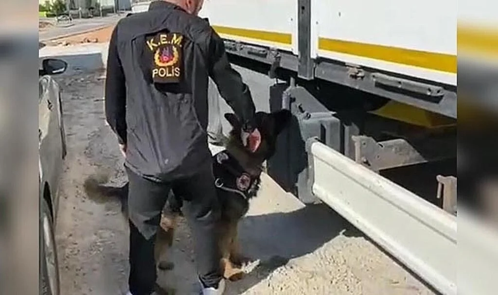 Gübre çuvallarının arasında 'kaçak sigara' sevkiyatına polis darbesi