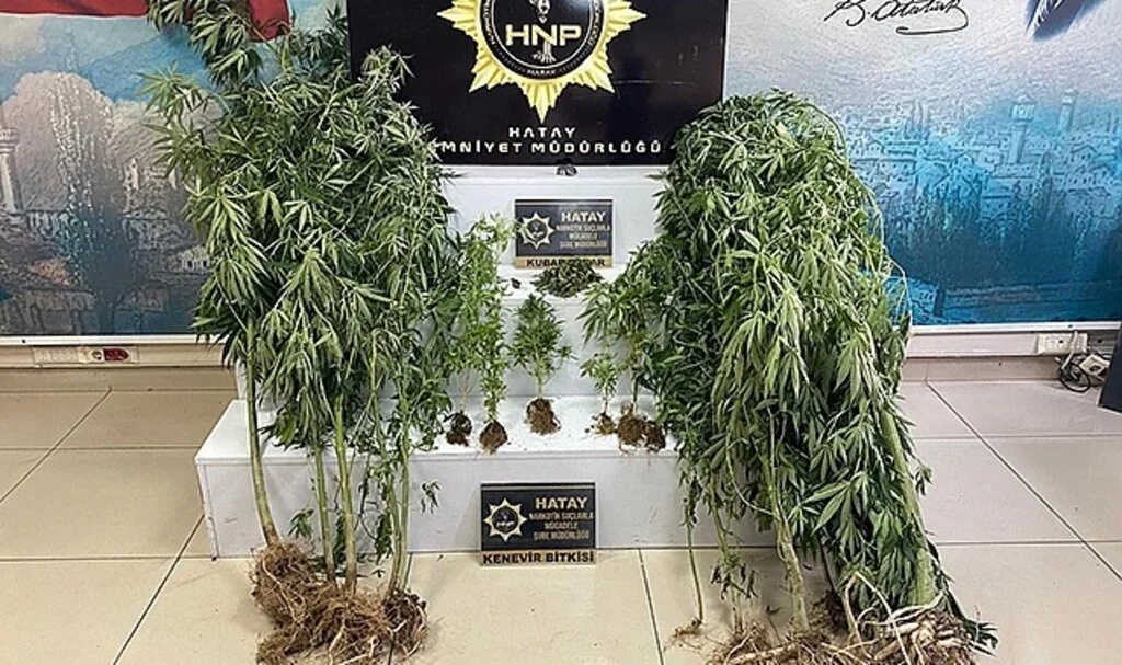 Hatay’da uyuşturucu operasyonu
