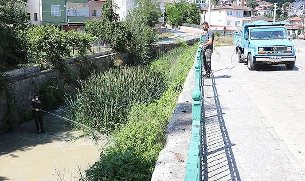 Havza'da haşere  ile mücadele sürüyor 