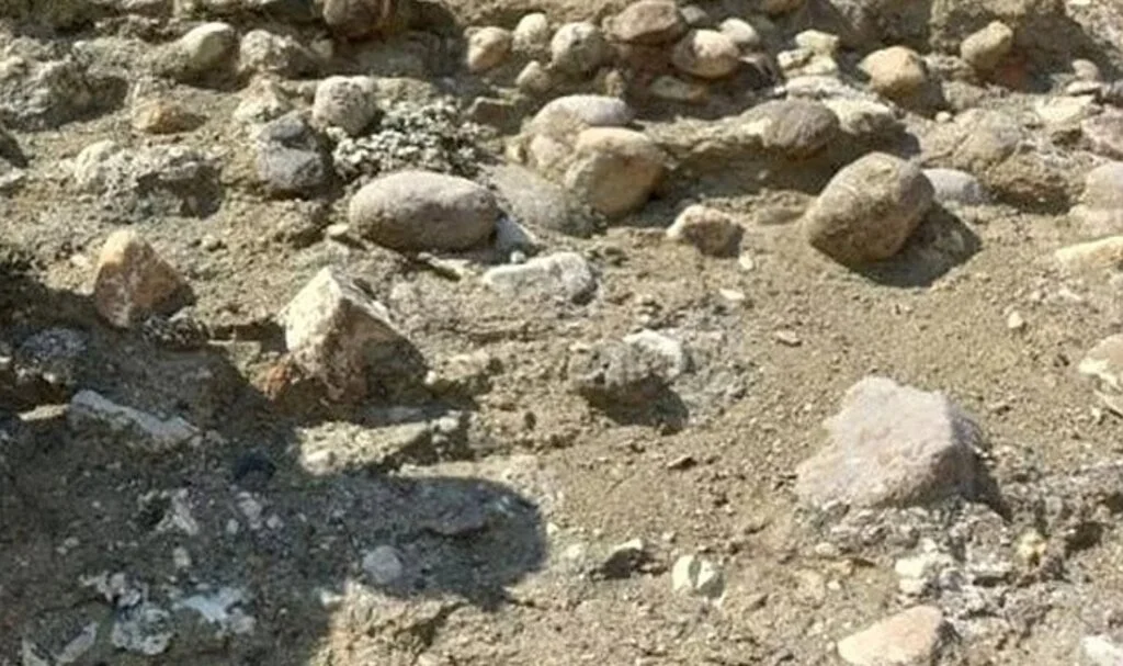 Hayvan otlatırken buldu ve kayalıkların arasında çıkardı: Ne olduğunu öğrenince şaştı kaldı