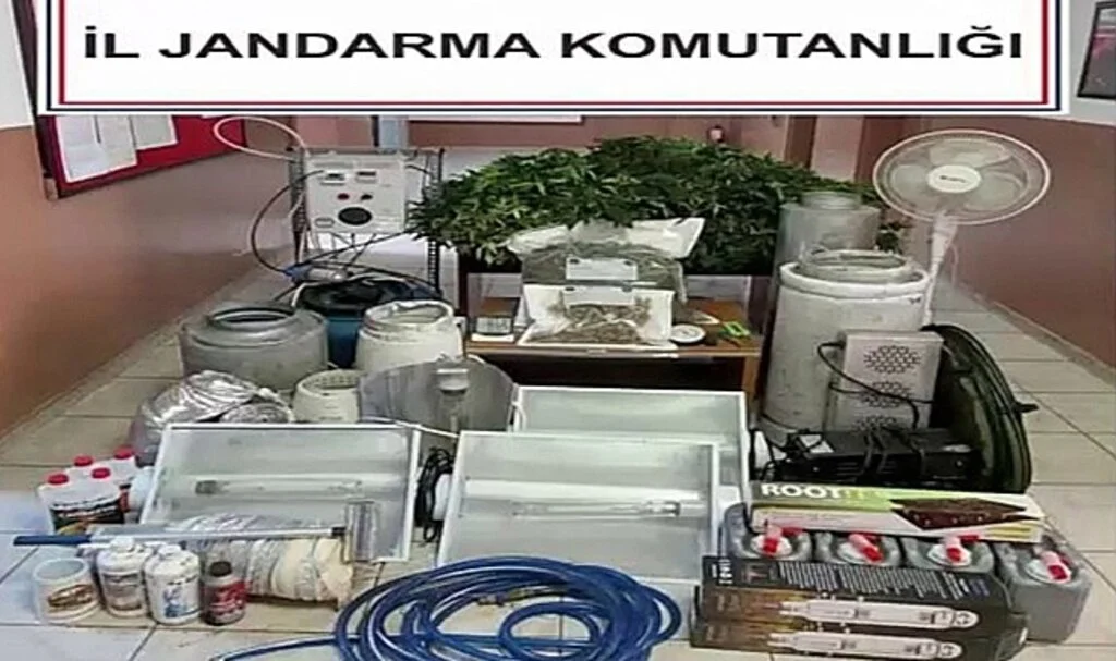  Kaçak elektrikle uyuşturucu yetiştiren 2 kişi gözaltına alındı