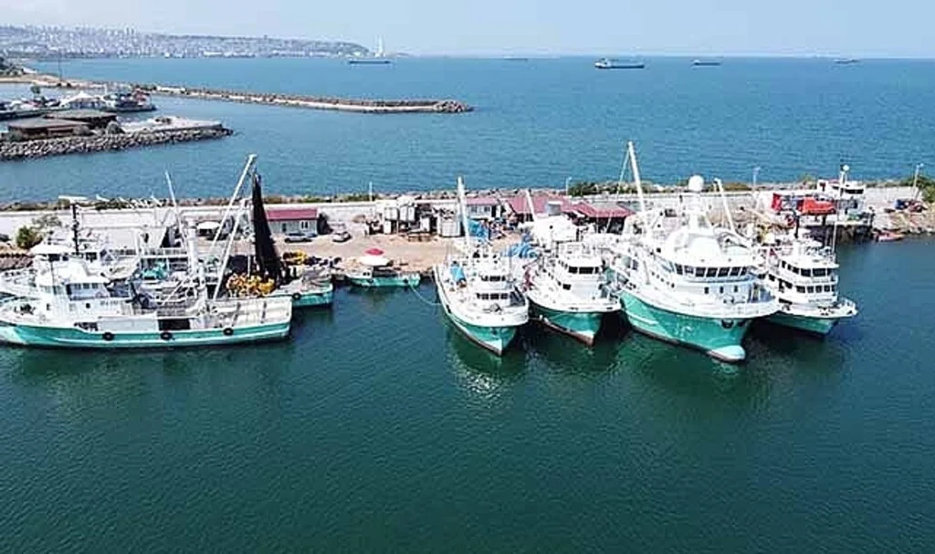Karadenizli balıkçılar yeni sezonda palamut, çinekop ve hamsi bolluğu bekliyor