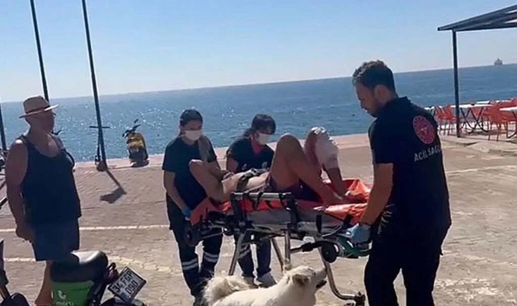 Kendisi için bıçaklanan sahibine köpekten duygulandıran vefa