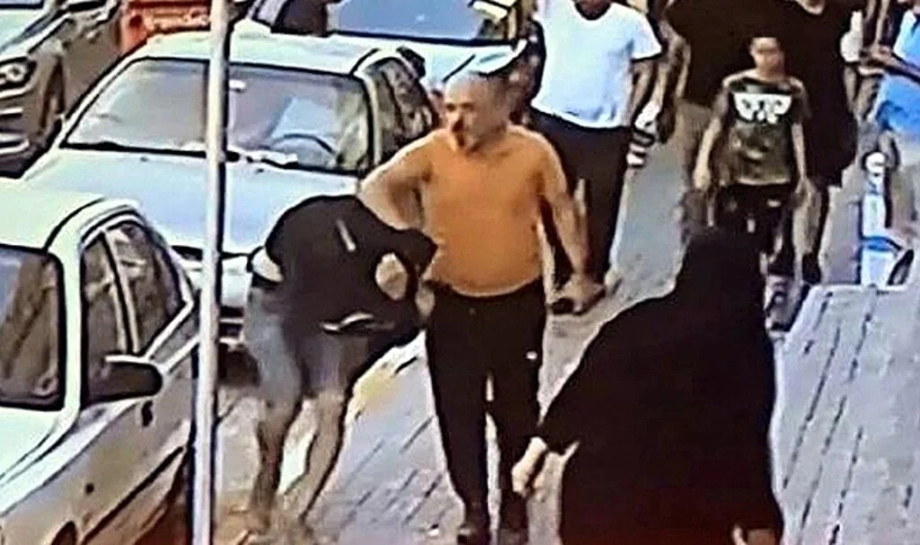 Kızına mesaj atan şüpheliyle kendi yazıştı, randevulaşıp yakaladı