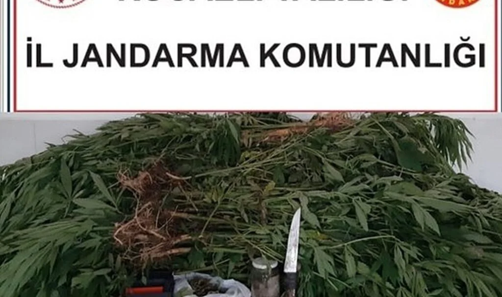 Kocaeli'de 30 kilogram esrar ele geçirildi