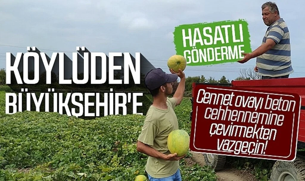 Köylüden Samsun Büyükşehir Belediyesi'ne hasatlı gönderme