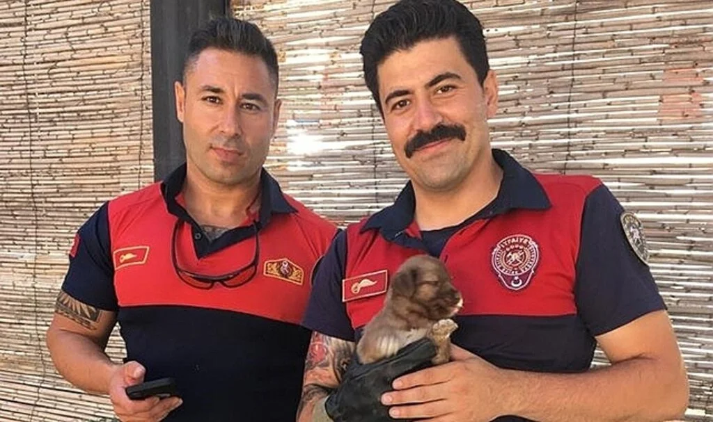 Kuyuya düşen yavru köpeğin imdadına itfaiye ekipleri yetişti