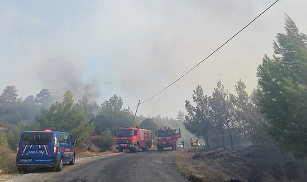 Manisa'da orman yangını çıktı