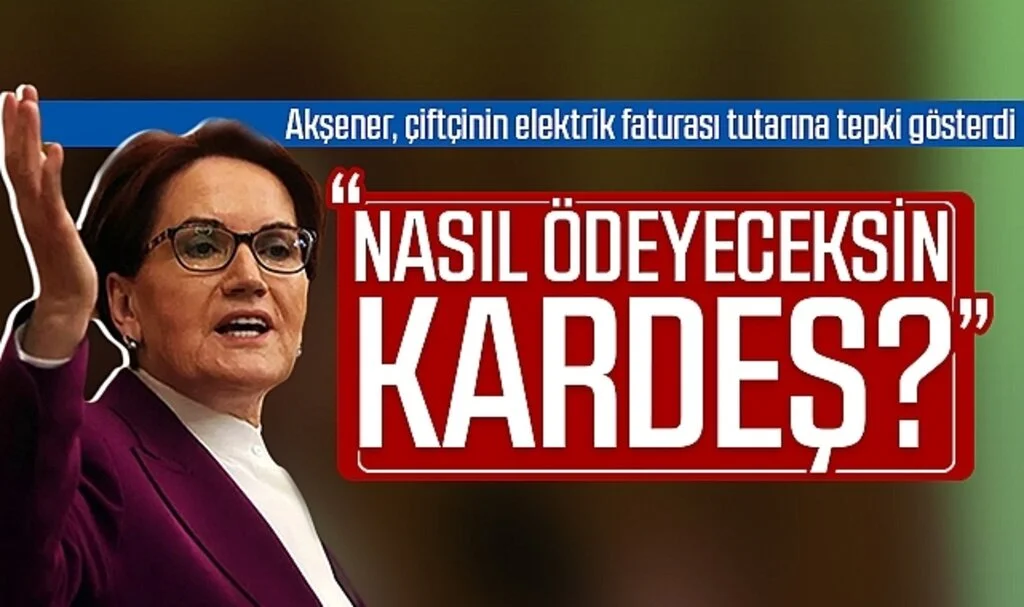 Meral Akşener, çiftçinin elektrik faturası tutarına tepki gösterdi: Nasıl ödeyeceksin kardeş?