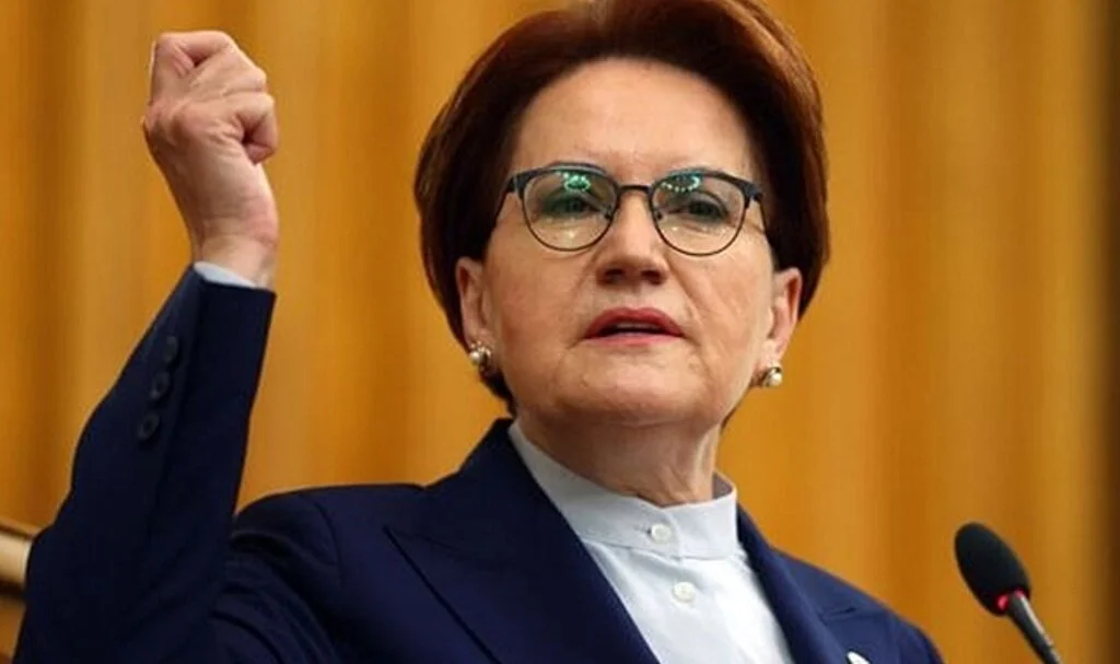 'Meral Akşener'i Bilecik'te sokak köpeği ısırdı' haberlerine ilişkin açıklama