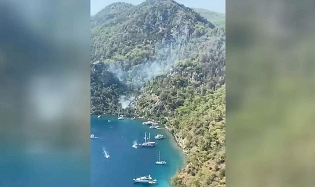 Muğla'da çıkan orman yangınına müdahale ediliyor