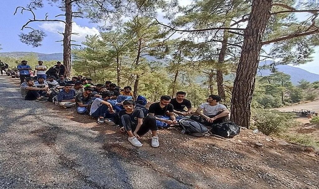 Ormanlık alanda 89 düzensiz göçmen yakalandı