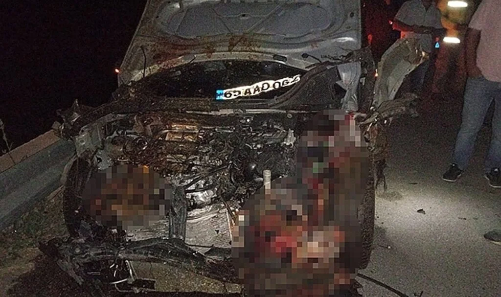 Otomobil sürüye çarptı: 26 hayvan telef oldu